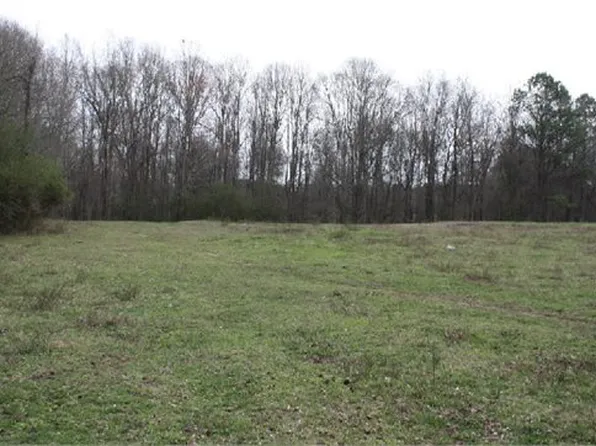 495 Watts Rd, Bowdon, GA 30108