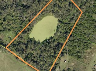 17330 Sorona Rd, Wimauma, FL 33598