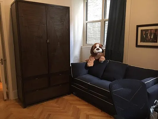 Rented by (Legacy) NY Quality Living Uptown | media 29