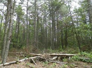 0 Slaughter Rd, Licking, MO 65542