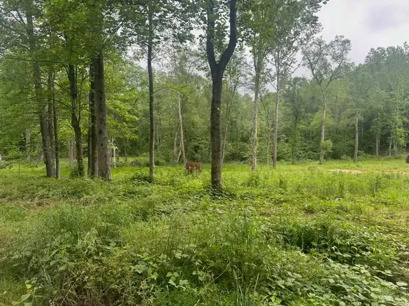 8125 Van Buren Rd, Saulsbury, TN 38067