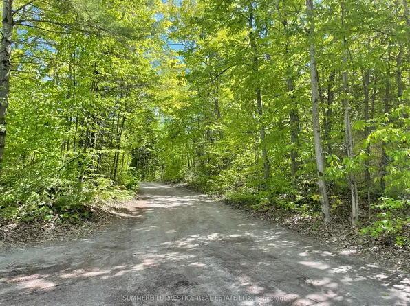 McNevan Dr, Kawartha Lakes, ON K0M 1N0