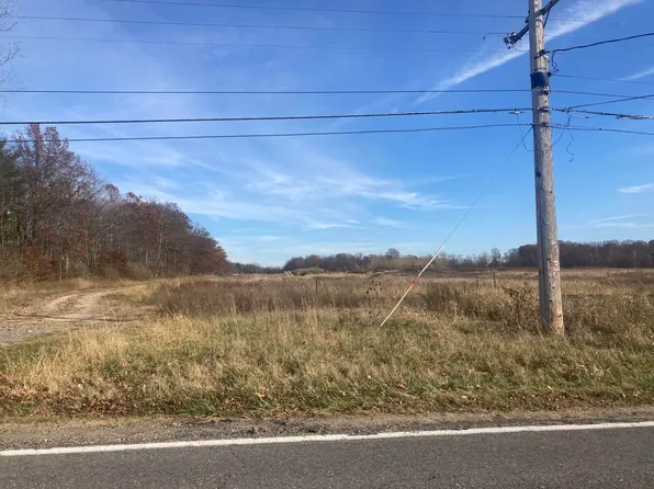 California Rd, Bridgman, MI 49106