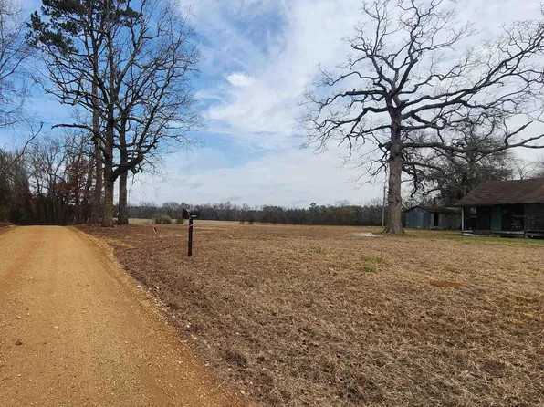 318 Dallas 223 Rd #223, Sparkman, AR 71763