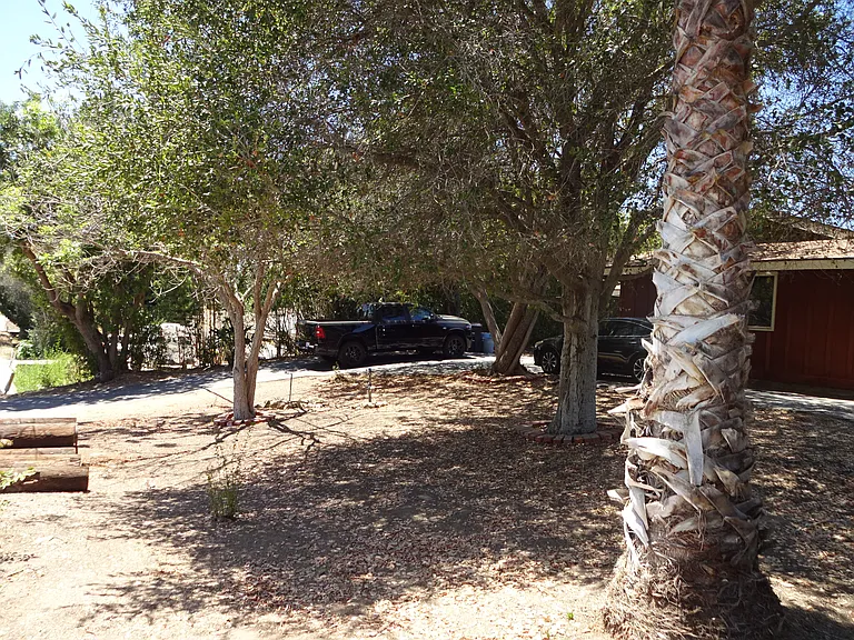 943 Oak Ave — Photo 8