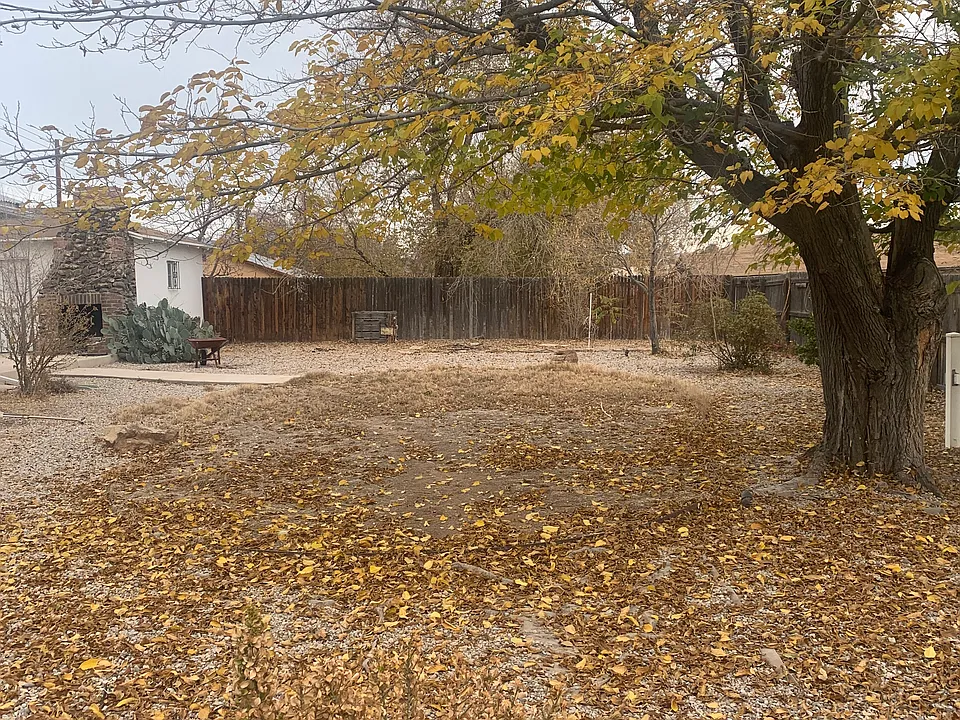 768 SF Large and Open Apartment Near CNM and Roosevelt Park!