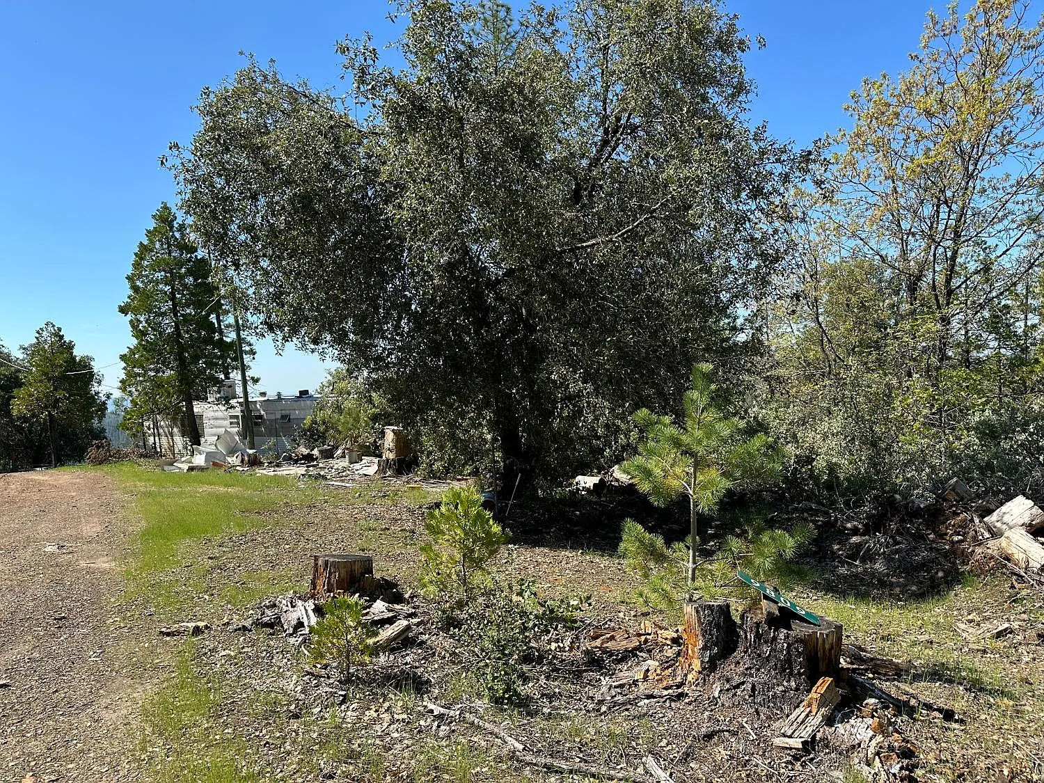 9809 Wildrose Ln photo 1