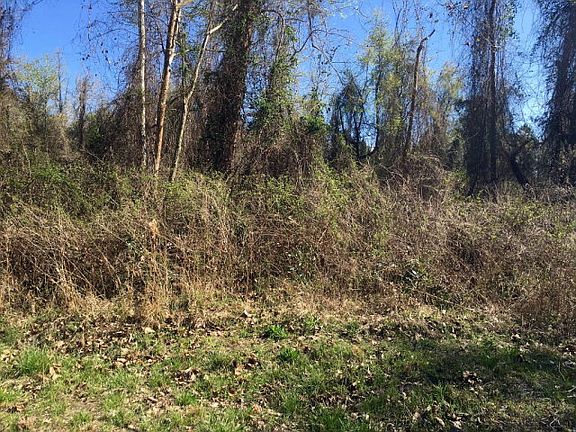 2nd image of Lot 45 E Waterway Drive