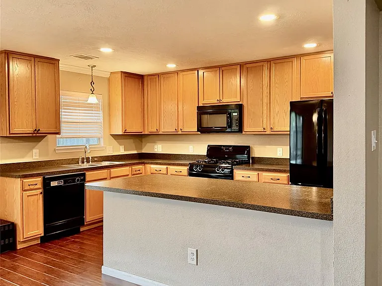 16010 Limestone Lake Dr — Photo 8