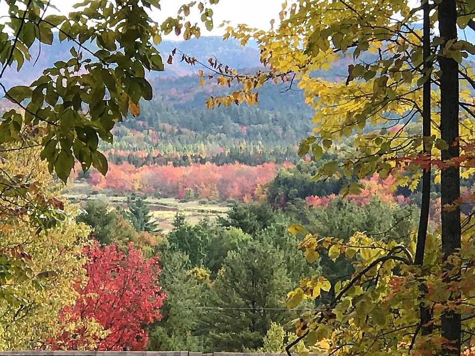 mtn foliage and river