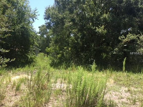 5th image of 32528 Greenwood Loop