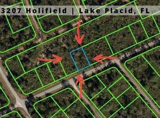 3207 Holifield Ave, Lake Placid, FL 33852