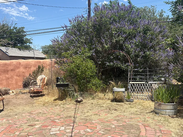Back yard