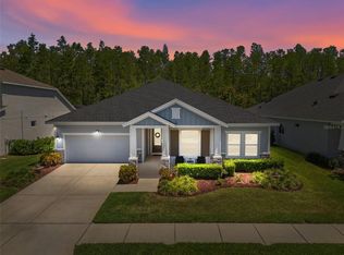 15329 Renaissance Ave, Odessa, FL 33556