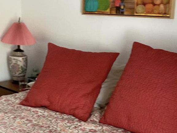 5th image of 547 Elizabeth St APT 1