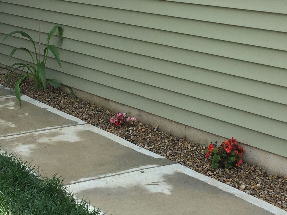 2nd image of 525 Farnham Dr