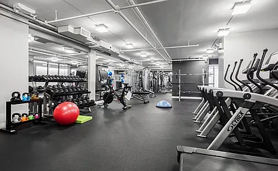 Rented by Level Group