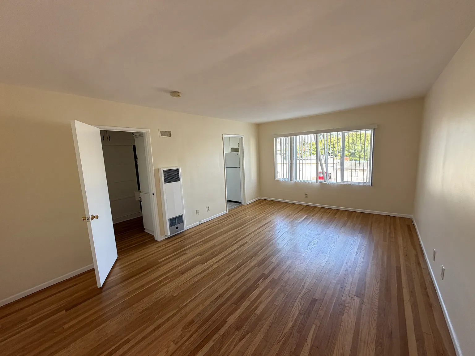 Large Studio Apartment — Photo 3