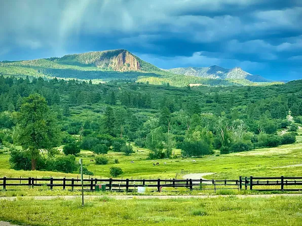 163 Regal Pines Ct, Pagosa Springs, CO 81147