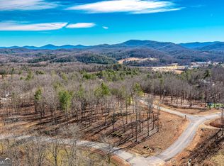 61 Ridgeside Dr, Blue Ridge, GA 30513