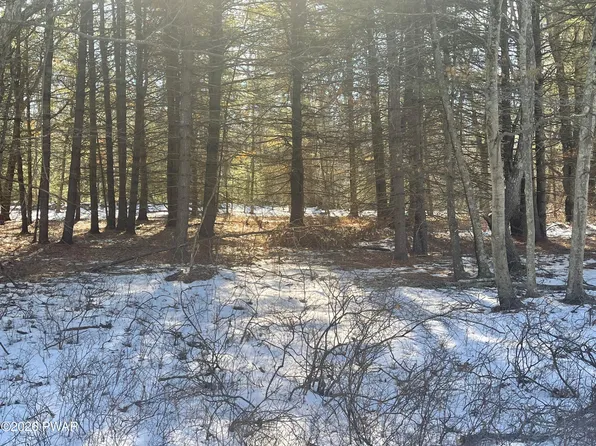 Maplewood Dr, Lackawaxen, PA 18435