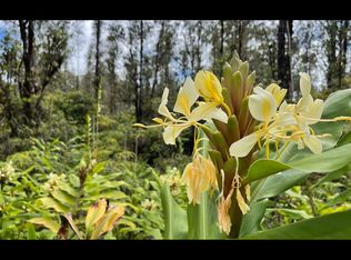 Hopue Road Rd #3-LOT 3152, Mountain View, HI 96771