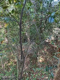 2nd image of 3746 Overlook Dr