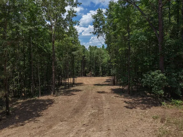 County Road 4452, Bivins, TX 75555