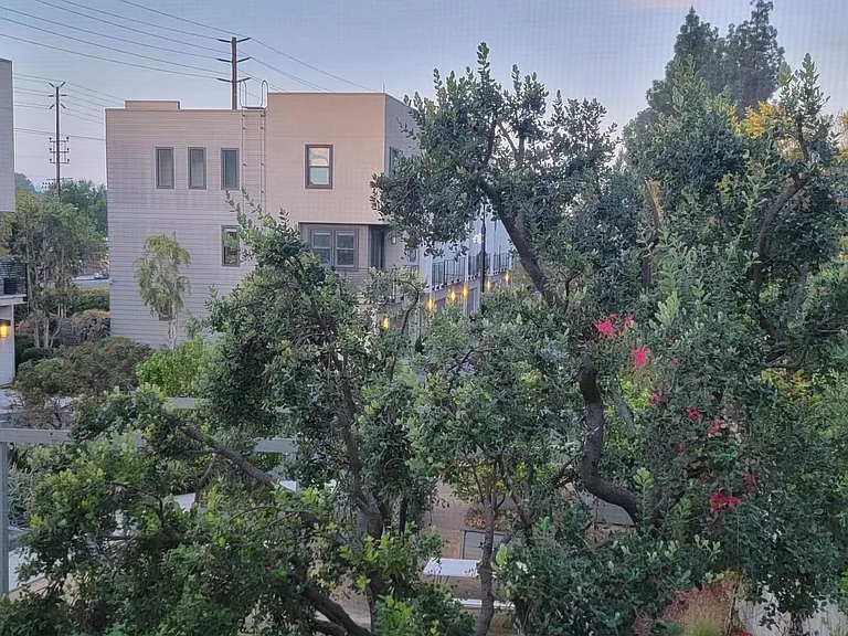 Eagle Rock Blvd — Photo 11