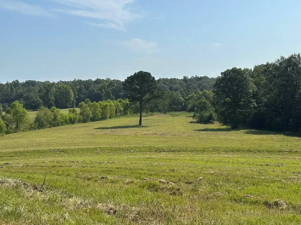 6609 S Glenwood Rd, Brantley, AL 36009