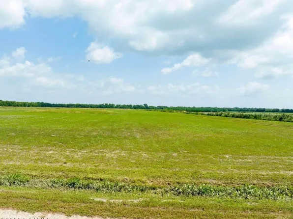 Trudell Ln Lot 7&8, Basile, LA 70515