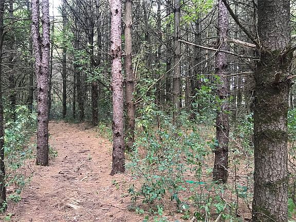 4th image of Lot 67 534th Street