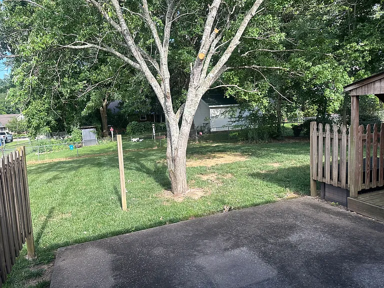 181 Old Farmers Rd — Photo 11