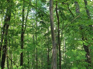 LOT 11 Alpine Shores Dr, Upson, WI 54565