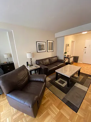 Rented by Luxus Manhattan Realty | media 7