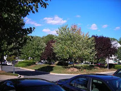 13514 Crusader Way — Photo 31