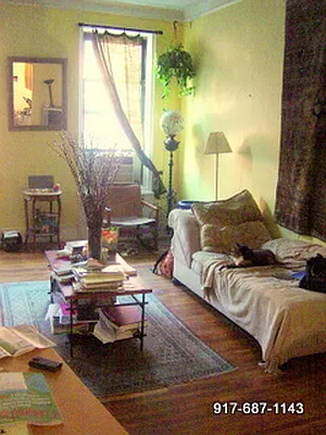 Rented by Chartwell Manhattan Realty | media 27