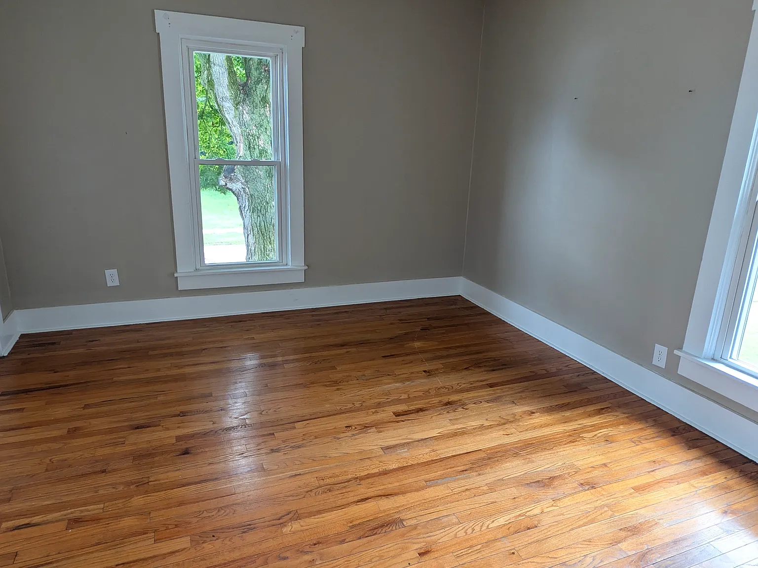 1431 Maiden Lane — Photo 3