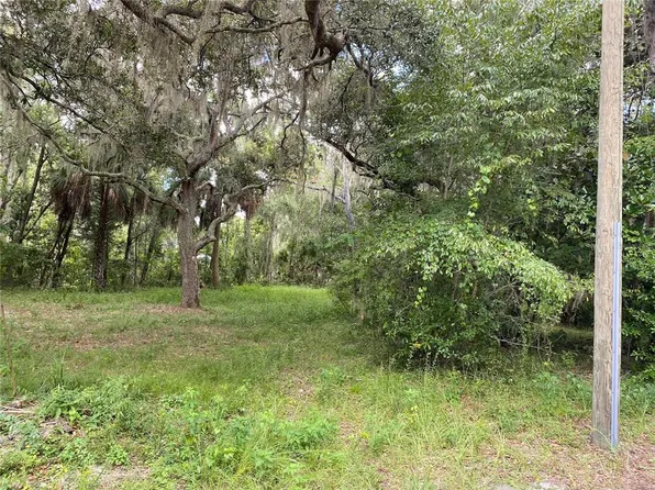 County Road 448c #1, Lake Panasoffkee, FL 33538