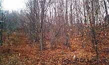 Lot property