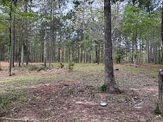 2nd image of 1119 County Road 969