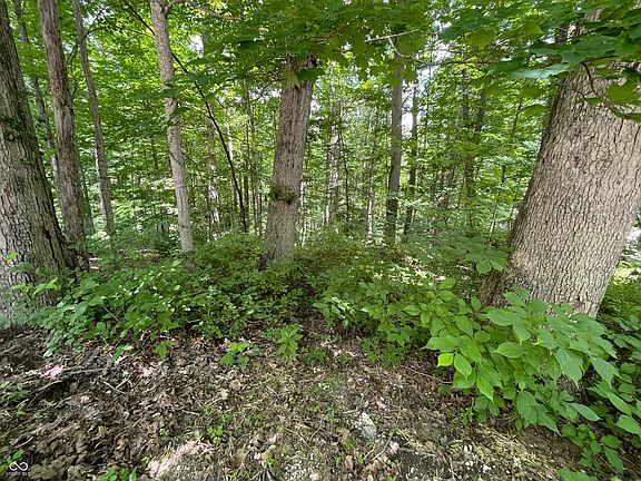 5th image of 0 Oak Run Dr