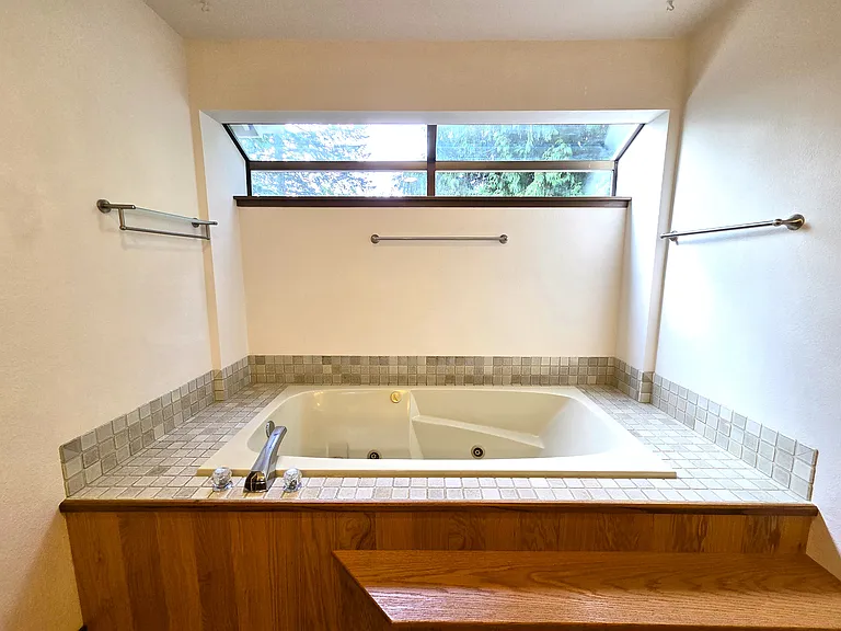 Primary Bathtub