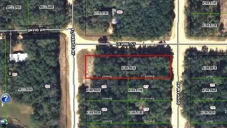 1st image of Levine St Interlachen Florida 32148