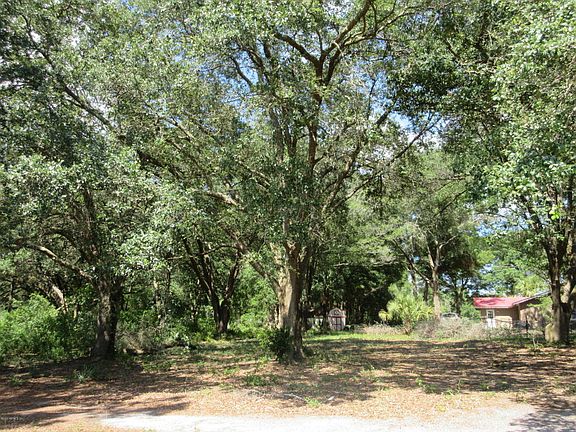 5th image of 5090 County Road 214