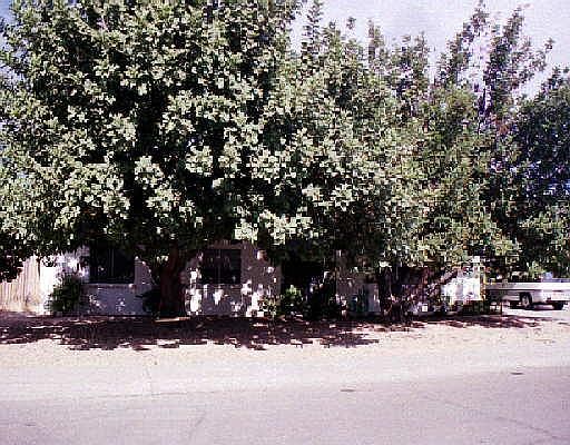1st image of 8036 E MONTEREY