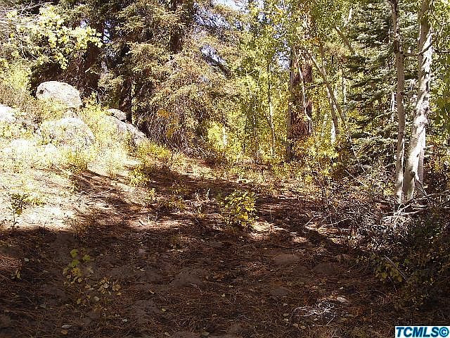 2nd image of 56874 Aspen Drive