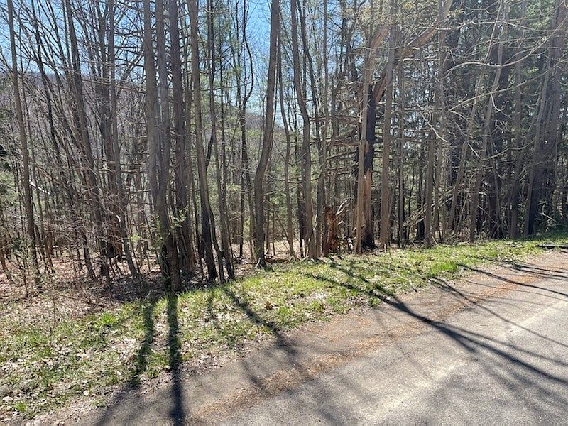 3208 Maxian Rd, Binghamton, NY 13903 MLS 316911 Zillow