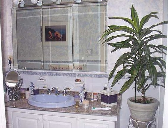 Downstairs In Law Bathroom