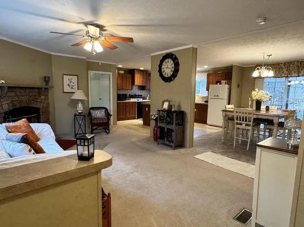 61 Mark Ave, Mount Nebo, WV 26679